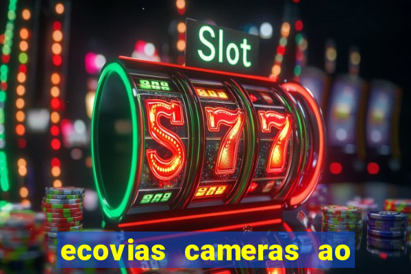 ecovias cameras ao vivo santos